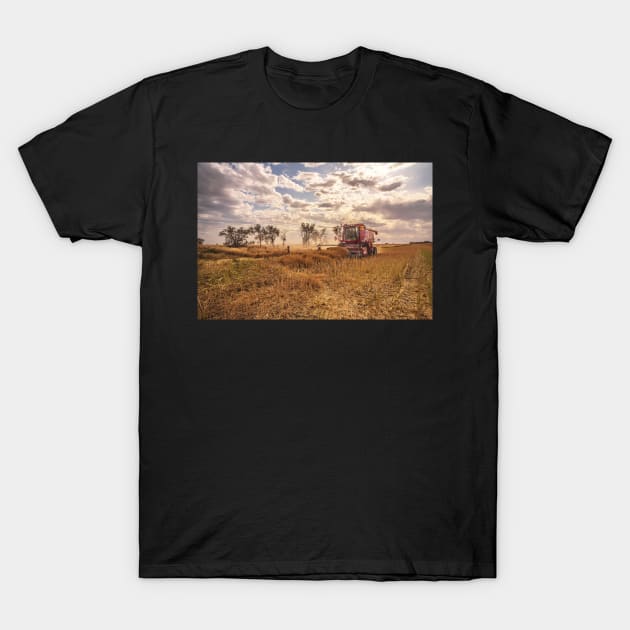 Canola Harvest T-Shirt by Bevlyn